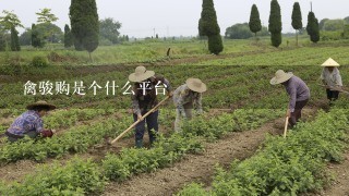 禽骏购是个什么平台