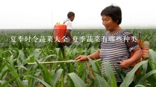 夏季时令蔬菜大全 夏季蔬菜有哪些种类