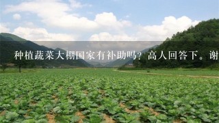 种植蔬菜大棚国家有补助吗？高人回答下。谢