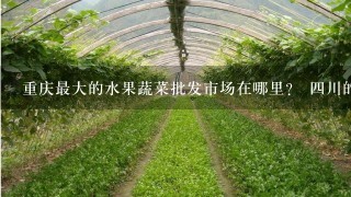 重庆最大的水果蔬菜批发市场在哪里？ 4川的水果和