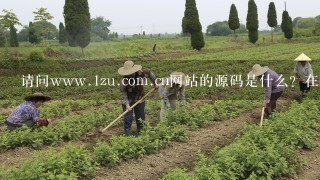 请问www.1zu.com.cn网站的源码是什么？在哪里可以下