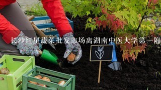 长沙红星蔬菜批发市场离湖南中医大学第1附属医院多少公里