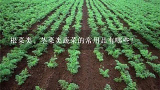 根菜类、茎菜类蔬菜的常用品有哪些？