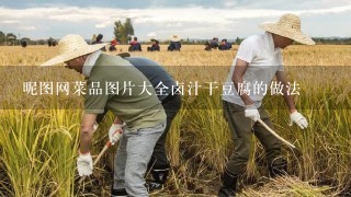 昵图网菜品图片大全卤汁干豆腐的做法