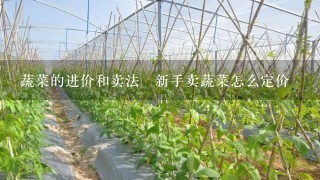 蔬菜的进价和卖法–新手卖蔬菜怎么定价