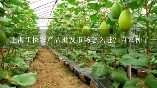 上海江桥农产品批发市场怎么进？自家种了1大片茄子准备拉进上海卖，进江桥市场要什么流程？