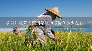 求告知蔬菜大棚钢架结构报价在多少左右