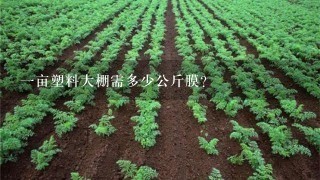 1亩塑料大棚需多少公斤膜？