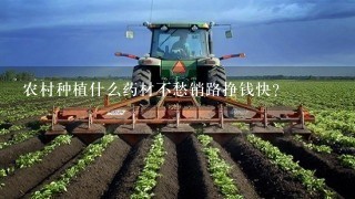 农村种植什么药材不愁销路挣钱快？