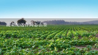 蔬菜配送合同怎么签