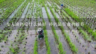 女人缺钙吃什么最好 补钙最佳食物推荐