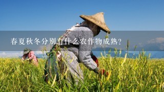 春夏秋冬分别有什么农作物成熟？