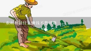 农村种植什么赚钱不愁销路