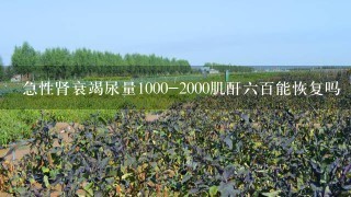 急性肾衰竭尿量1000-2000肌酐6百能恢复吗