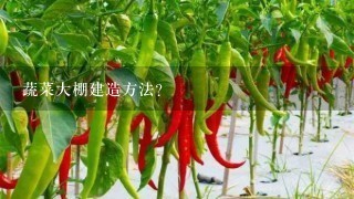 蔬菜大棚建造方法？