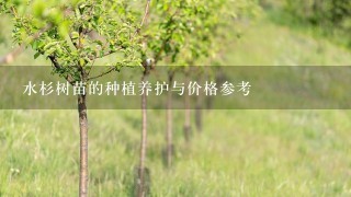 水杉树苗的种植养护与价格参考