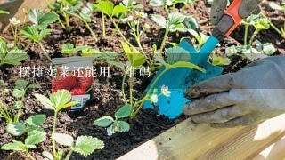 摆摊卖菜还能用2维码