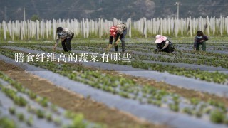 膳食纤维高的蔬菜有哪些