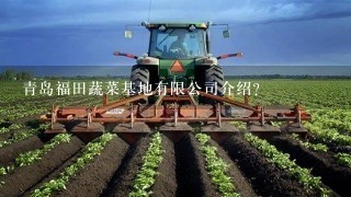 青岛福田蔬菜基地有限公司介绍？