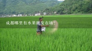 成都哪里有水果批发市场?