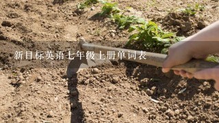 新目标英语7年级上册单词表