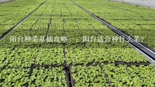 阳台种菜基础攻略1：阳台适合种什么菜?