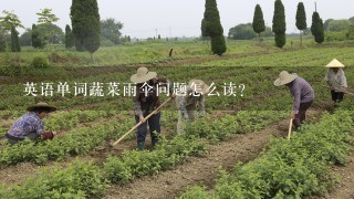 英语单词蔬菜雨伞问题怎么读？