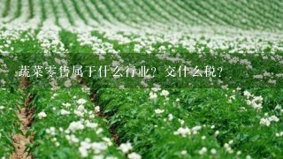 蔬菜0售属于什么行业？交什么税？