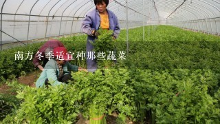 南方冬季适宜种那些蔬菜