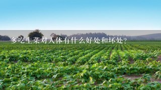 多吃生菜对人体有什么好处和坏处？