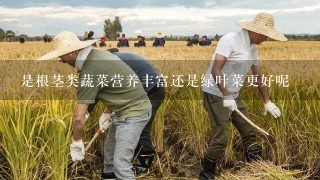 是根茎类蔬菜营养丰富还是绿叶菜更好呢