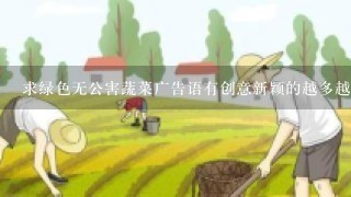 求绿色无公害蔬菜广告语有创意新颖的越多越好