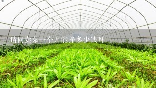 请问卖菜1个月能挣多少钱呀