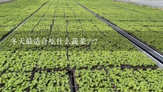 冬天最适合吃什么蔬菜???