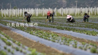 豆类食物有哪些