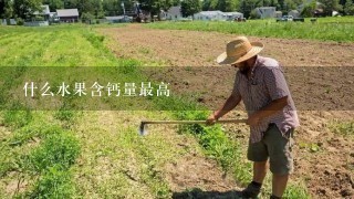 什么水果含钙量最高