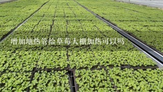 增加地热管给草莓大棚加热可以吗