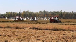 大棚蔬菜自动化占地20亩需多少钱