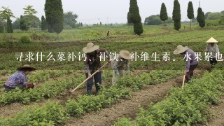 寻求什么菜补钙、补铁、补维生素。水果累也行，要求做法越祥细越好。