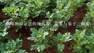 从唯物辩证法的观点看，蔬菜与茄子、南瓜、西芹之间的关系是（ ）的关系。