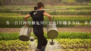 养1百只种母獭兔30只公兔1年赚多少钱。来个2011权威的回答。拒绝抄袭