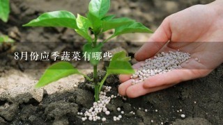 8月份应季蔬菜有哪些