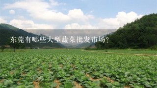 东莞有哪些大型蔬菜批发市场？