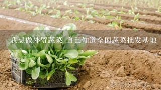 我想做外贸蔬菜 自己知道全国蔬菜批发基地 已经做了很多年了 希望有贵人给我介绍下 可以合作 谢谢？