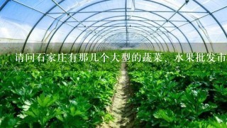 请问石家庄有那几个大型的蔬菜、水果批发市场？分别在哪里？