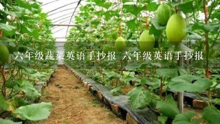 6年级蔬菜英语手抄报 6年级英语手抄报