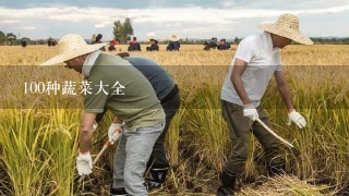 100种蔬菜大全