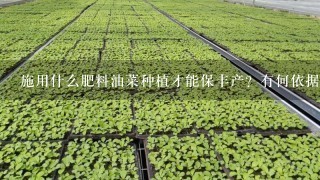 施用什么肥料油菜种植才能保丰产？有何依据？