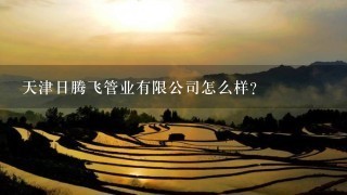 天津日腾飞管业有限公司怎么样？