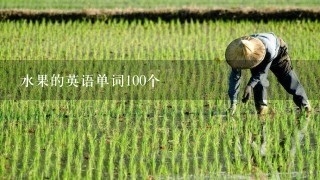 水果的英语单词100个